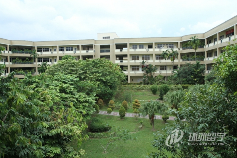 新加坡研究生多少钱