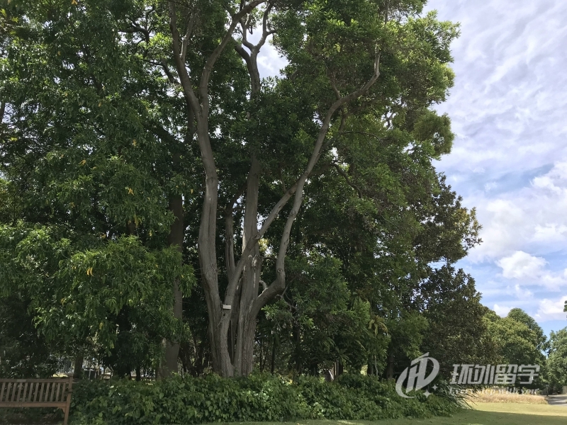 �¼��¹����о�������