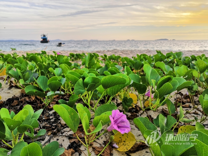 �¼�����������ѧqs����