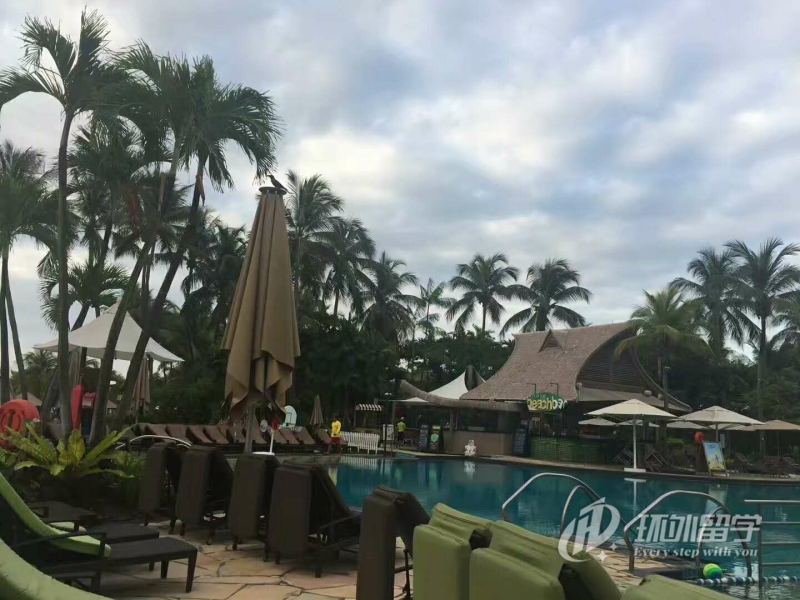 �¼���������ѧ������������