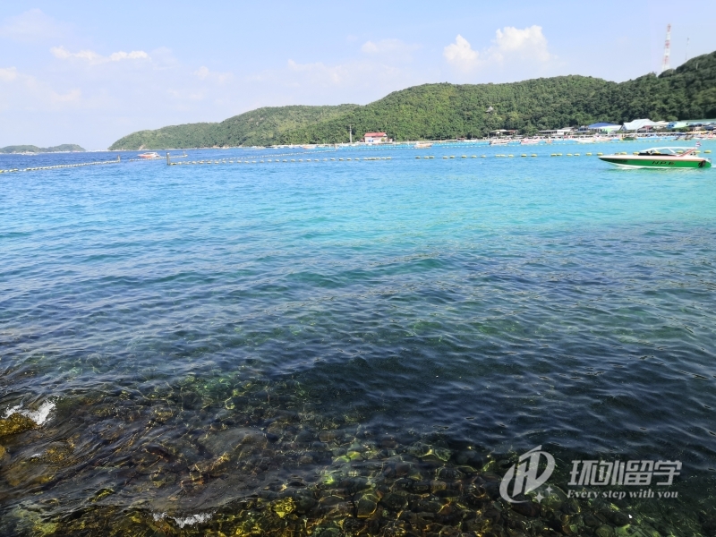 �¼���������������ѧ˶ʿ