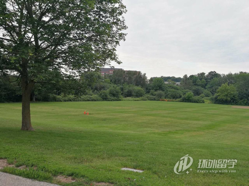 �¼�������������ѧ���ѧ