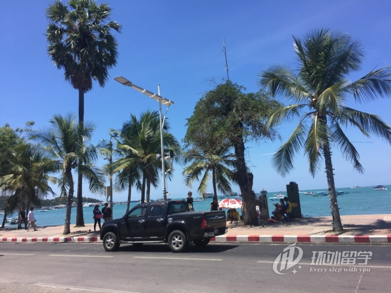 �¼���˽����ѧרҵ����Щ