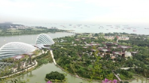 新加坡留学签证需要面签吗