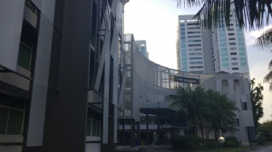 新加坡科廷大学专业排名