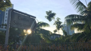 新加坡科廷大学可以转专业吗