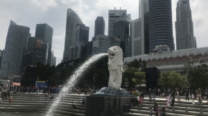 新加坡高中怎么申请留学
