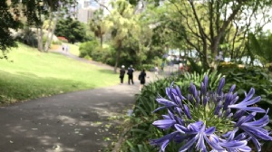 马来西亚博士学位大学