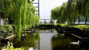 ¼ѧѧѧǮ