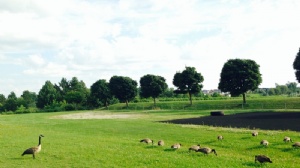 马来西亚玛拉工艺大学留学学费