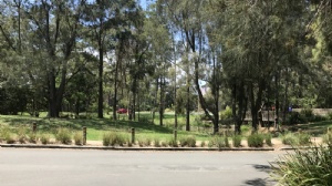 馬來西亞城市大學(xué)要求