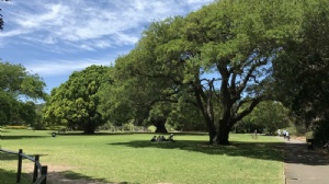 新加坡留学本科大学