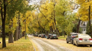 新加坡留学多少年