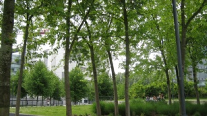 马来亚大学申研条件