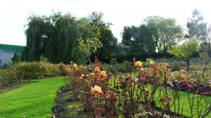 马来西亚留学费用高中