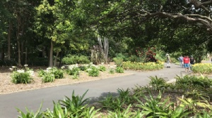 新加坡科技設(shè)計(jì)大學(xué)碩士