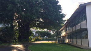 到新加坡管理学院读本科