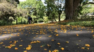 马来西亚国民大学学制几年