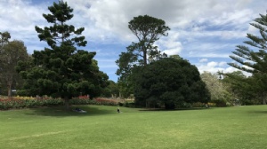 马来亚大学会计硕士学制
