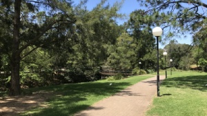 马来西亚大学心理学硕士