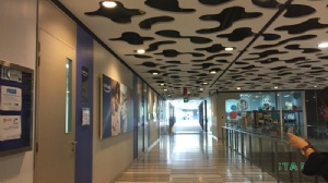 留学新加坡一年费用多少