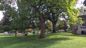 马来亚大学qs学科排名