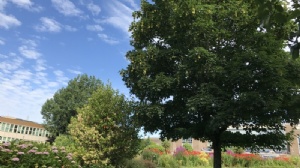 马来亚大学一年制硕士费用