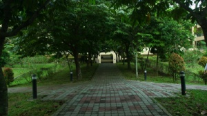 马来亚大学研究生费用多少