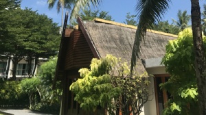 泰国博仁大学生活费