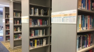 新加坡公立学校本科读几年