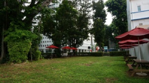 新加坡南洋理工大学一年学费