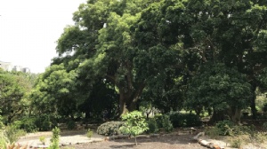 马来西亚理工大学入学时间