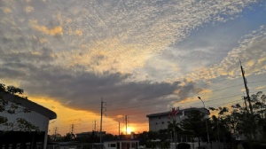 新加坡留学小学条件