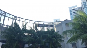 新加坡留学条件要求