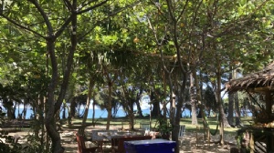 泰国艺术大学硕博