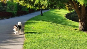 马来亚大学硕士是几年制