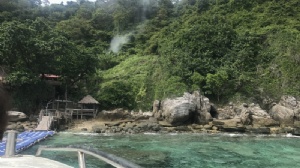 泰国国际学校专业