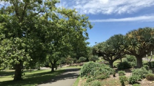 马来西亚高中留学要求