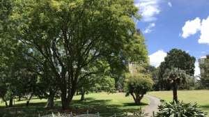 马来西亚大学预科