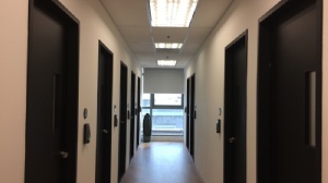 新加坡国立大学会计专业