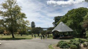 新加坡伯明翰大学本科专业