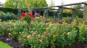 申请马来亚大学硕士