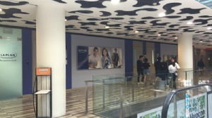 高二能去新加坡国立大学吗