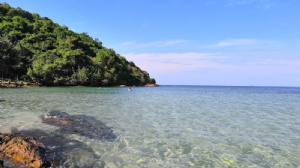 ̩�����ȴ�ѧ��ѧ�о���