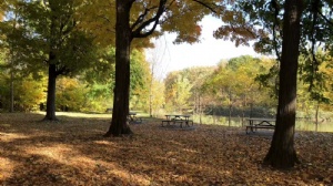 马来西亚大学本科留学费用