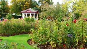 �����ǲ�ʿ��������