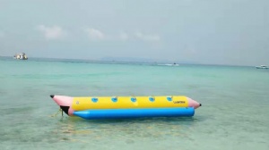 新加坡公立研究生院校