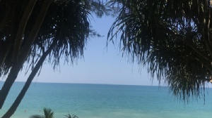 ̩������ѧУ����