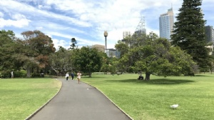 马来西亚大学会计硕士学制