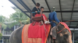 ̩���ϰ������ִ�ѧ